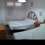 Rent 4 bedroom house in Murcia']