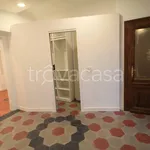 Rent 3 bedroom apartment of 75 m² in Torino