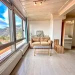 Rent 1 bedroom apartment of 45 m² in Arachova Municipal Unit