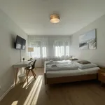 Rent 2 bedroom apartment of 55 m² in Nuremberg