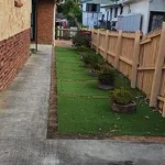 Rent 1 bedroom apartment in Auckland