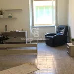 Rent 5 bedroom apartment of 100 m² in Viterbo