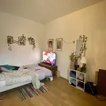 Rent 2 bedroom apartment of 45 m² in angers