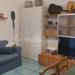 Villa in affitto a Pietrasanta viale Apua, 300, giardino, posto auto, lavastoviglie - TrovaCasa