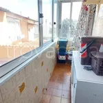 Rent 5 bedroom apartment of 100 m² in Livorno