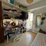 Rent a room in Valencia