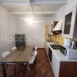 Rent 2 bedroom apartment of 65 m² in Caserta