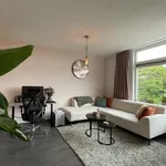 Rent 2 bedroom apartment of 54 m² in Arnhem