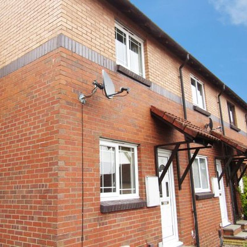 Terraced house to rent in Farm Hill, Exeter EX4