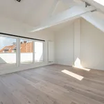 Rent 1 bedroom apartment of 132 m² in Antwerpen