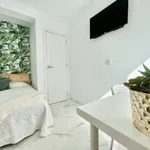 Rent 4 bedroom apartment in Seville