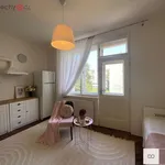 Rent 1 bedroom apartment of 25 m² in Mladá Boleslav