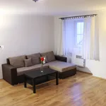 Rent 1 bedroom apartment in Prague