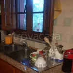 Rent 2 bedroom apartment of 60 m² in Capannori