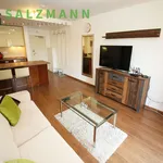 Rent 2 bedroom apartment of 52 m² in Pilsen