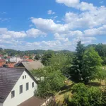 Rent 2 bedroom apartment of 49 m² in Wilkau-Haßlau