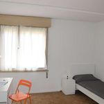 Rent a room of 200 m² in Trento