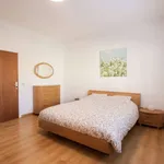 Rent 1 bedroom apartment of 77 m² in brussels