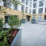 Rent 1 bedroom apartment in dublin