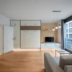 Rent 1 bedroom apartment of 41 m² in Dresden