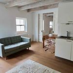 Rent 1 bedroom apartment of 50 m² in Den Haag