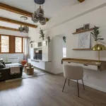 Rent 1 bedroom apartment of 50 m² in lyon