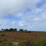 Estúdio em lisbon