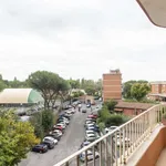 Rent 2 bedroom apartment in rome