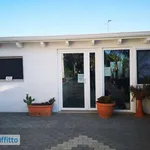 Affitto 2 camera casa di 85 m² in Brindisi