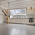 Tolhuisweg, Midlaren - Amsterdam Apartments for Rent