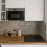 Rent 1 bedroom apartment of 30 m² in Milano