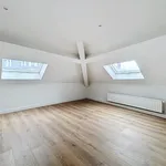 Rent 2 bedroom apartment of 135 m² in Brussels