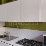 Rent 2 bedroom apartment of 50 m² in Biella