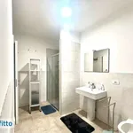 Bilocale arredato con terrazzo Romano banco