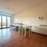 Rent 1 bedroom apartment of 37 m² in Rome