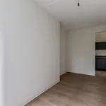 Huur 1 slaapkamer appartement van 42 m² in Delft