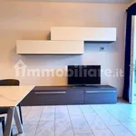 Rent 2 bedroom apartment of 53 m² in Pisa