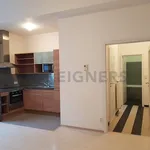 Pronajměte si 1 ložnic/e byt o rozloze 47 m² v Pilsen