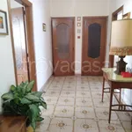 Rent 3 bedroom apartment of 80 m² in Torino