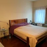 Penthouse via Gorizia 17, Centro, Thiene