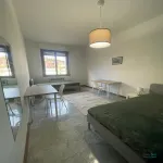 Rent a room of 150 m² in Bologna