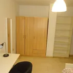 Rent a room in cordoba