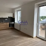 Rent 1 bedroom apartment in Břeclav