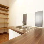 Rent 1 bedroom apartment of 42 m² in Brno