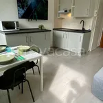 Rent 1 bedroom apartment of 26 m² in Milano