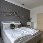 Rent a room of 90 m² in Prague