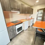 Rent 1 bedroom apartment of 55 m² in Madrid