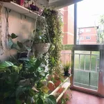 Rent a room in madrid