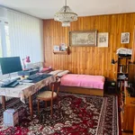 Rent 4 bedroom house in Uherské Hradiště