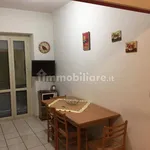 Rent 3 bedroom apartment of 75 m² in Turin